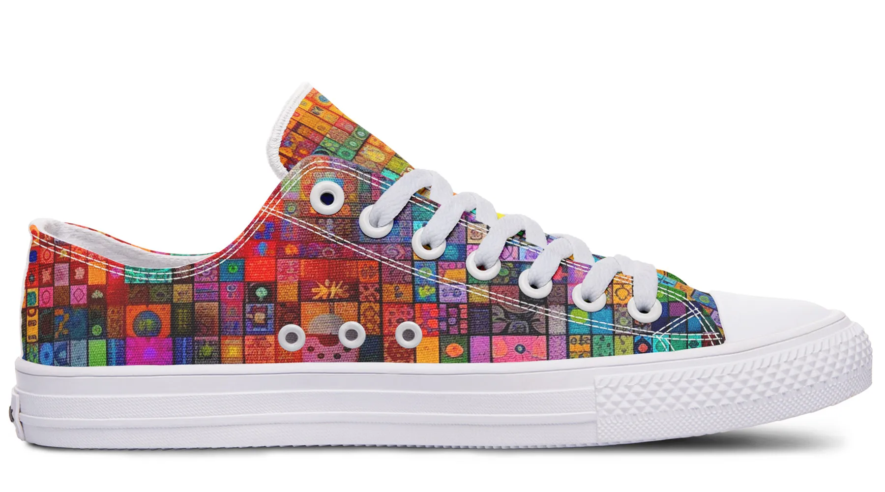 Blotter Fuzz Low Top Shoes