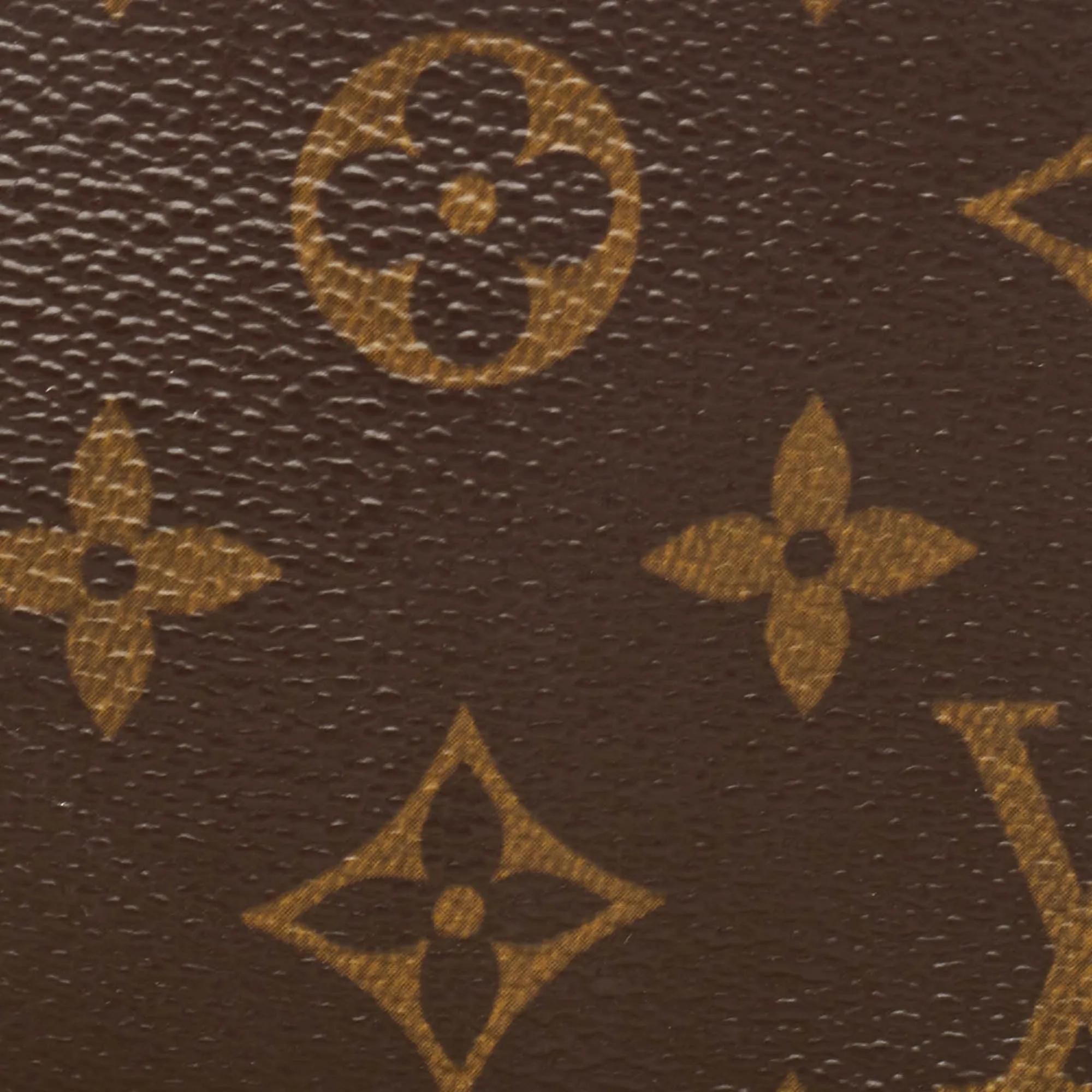 Louis Vuitton Monogram Canvas Mini Pochette Accessoires