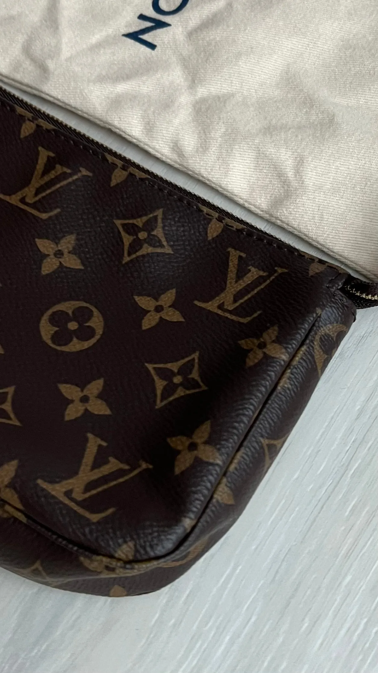 Louis Vuitton Pochette Accessories