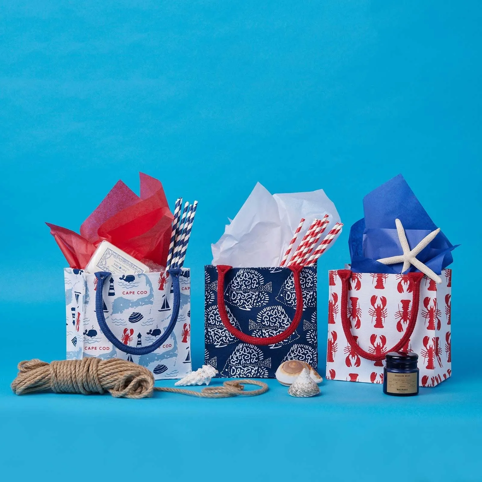 The Cape Reusable Itsy Bitsy Gift Bag